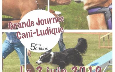 Club d’éducation canine à Saint Apollinaire