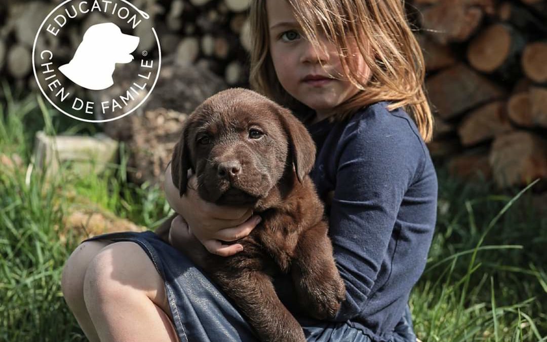 Plaquette L’Ecole des Maîtres Entre chien et vous